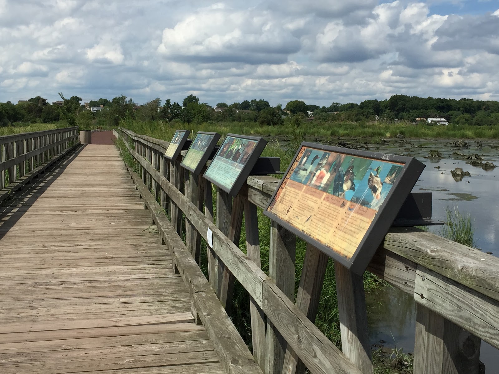 Photo of Mill Creek Marsh Trail in Secaucus City, New Jersey, United States - 2 Picture of Point of interest, Establishment, Park