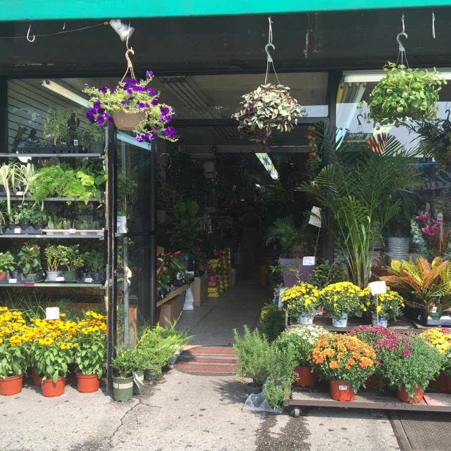 Photo of Spring Flower in New York City, New York, United States - 1 Picture of Point of interest, Establishment, Store, Florist