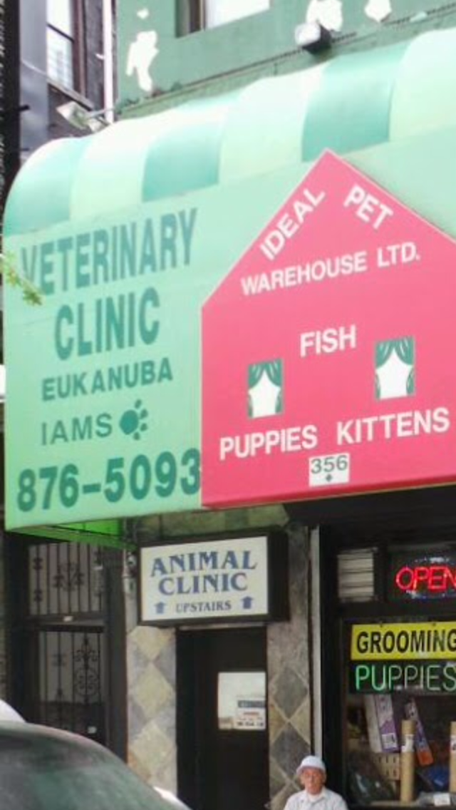 Photo of Ideal Pet Veterinary Clinic in New York City, New York, United States - 8 Picture of Point of interest, Establishment, Health, Veterinary care