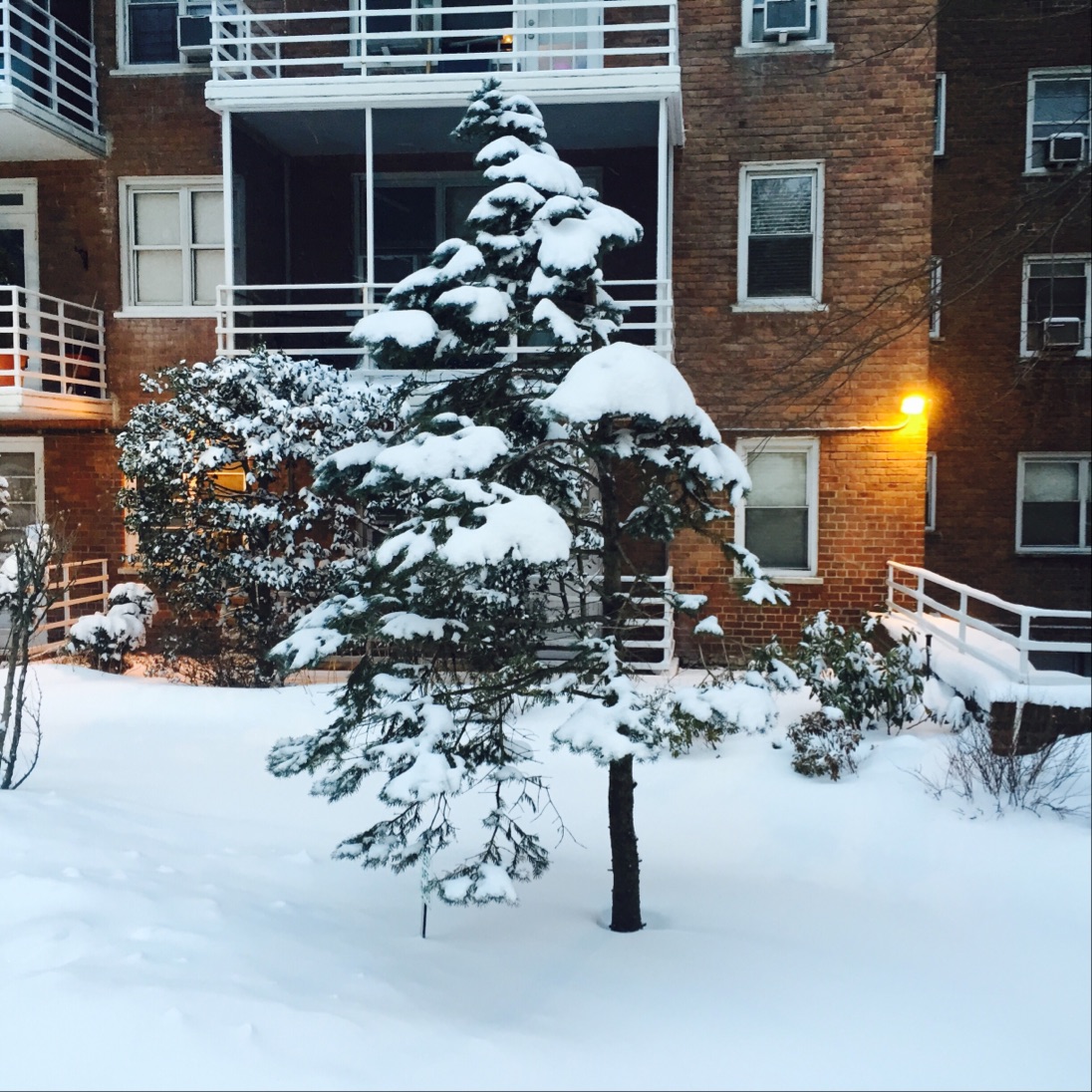 Photo of Parkway House in Bronx City, New York, United States - 2 Picture of Point of interest, Establishment