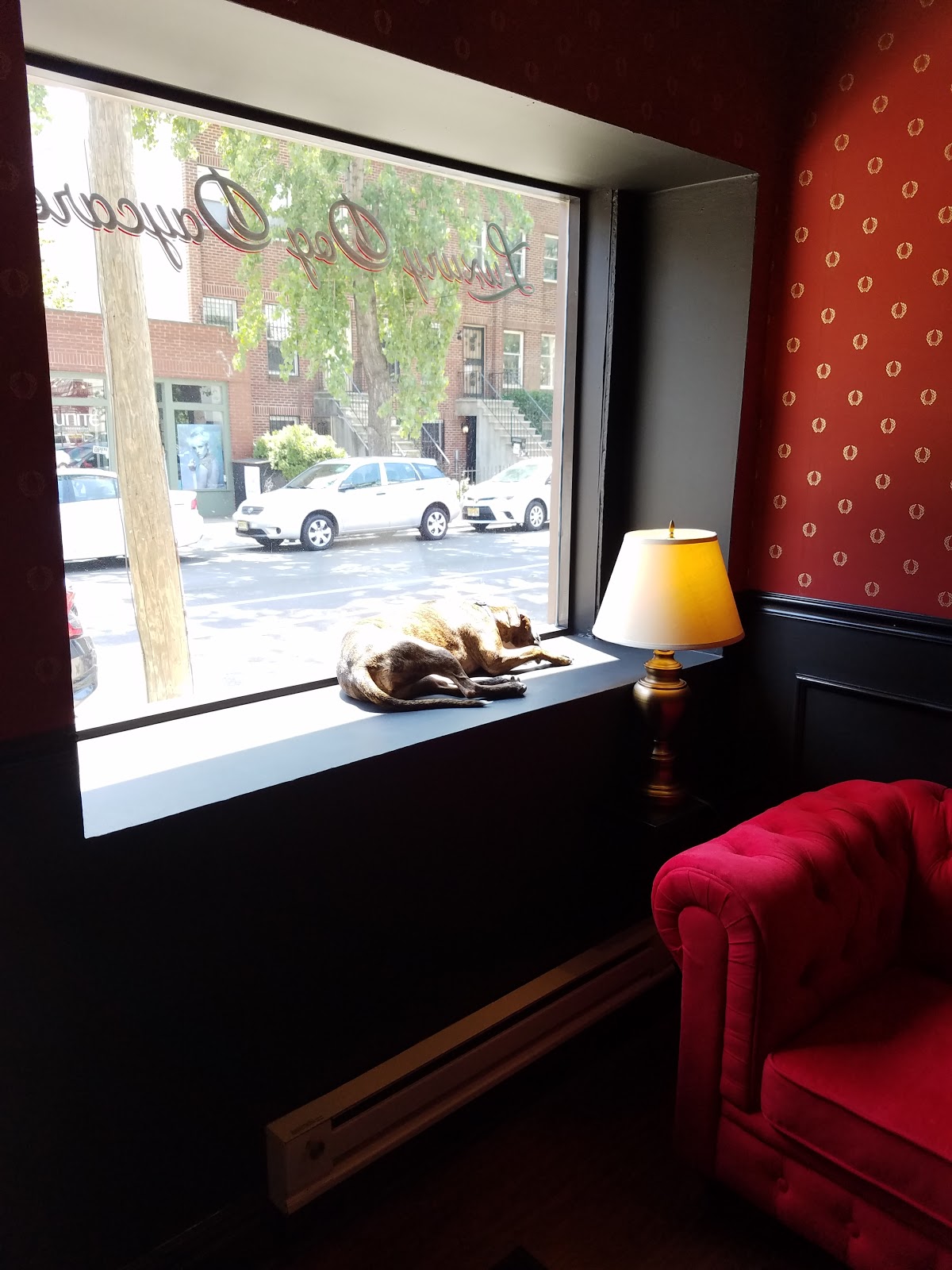 Photo of Executive Dog Lounge in Jersey City, New Jersey, United States - 9 Picture of Point of interest, Establishment