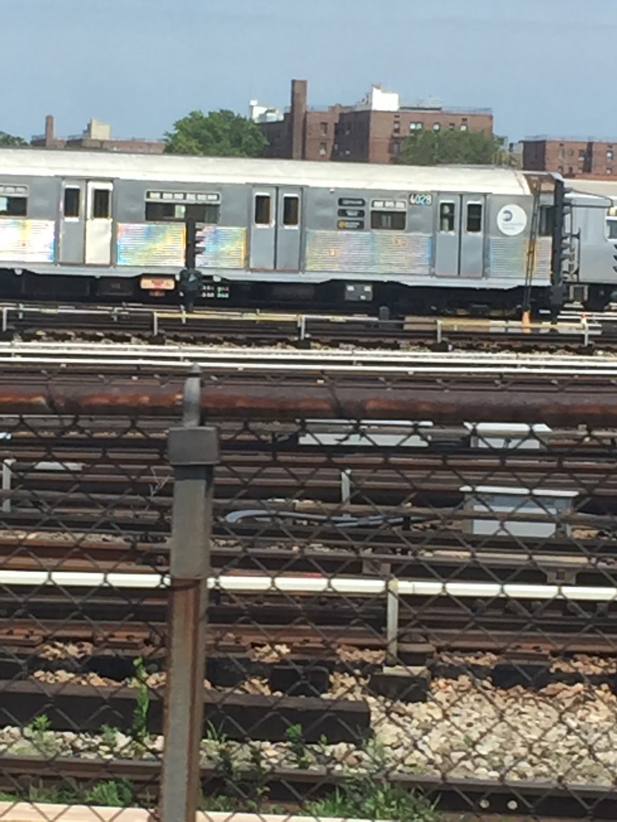 Photo of Coney Island Yard in New York City, New York, United States - 1 Picture of Point of interest, Establishment