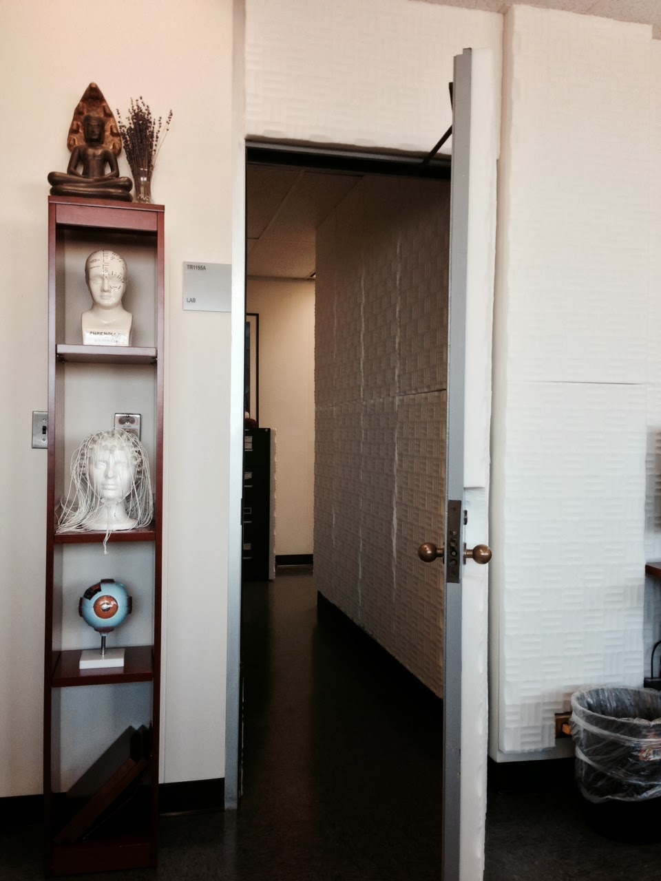 Photo of NeuroCognition of Language Lab in New York City, New York, United States - 2 Picture of Point of interest, Establishment