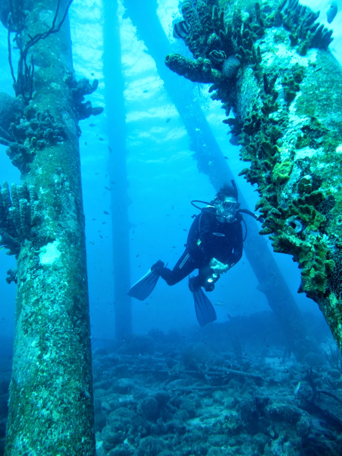 Photo of Urban Manta Scuba Lessons in New York City, New York, United States - 6 Picture of Point of interest, Establishment, Store, School, Travel agency