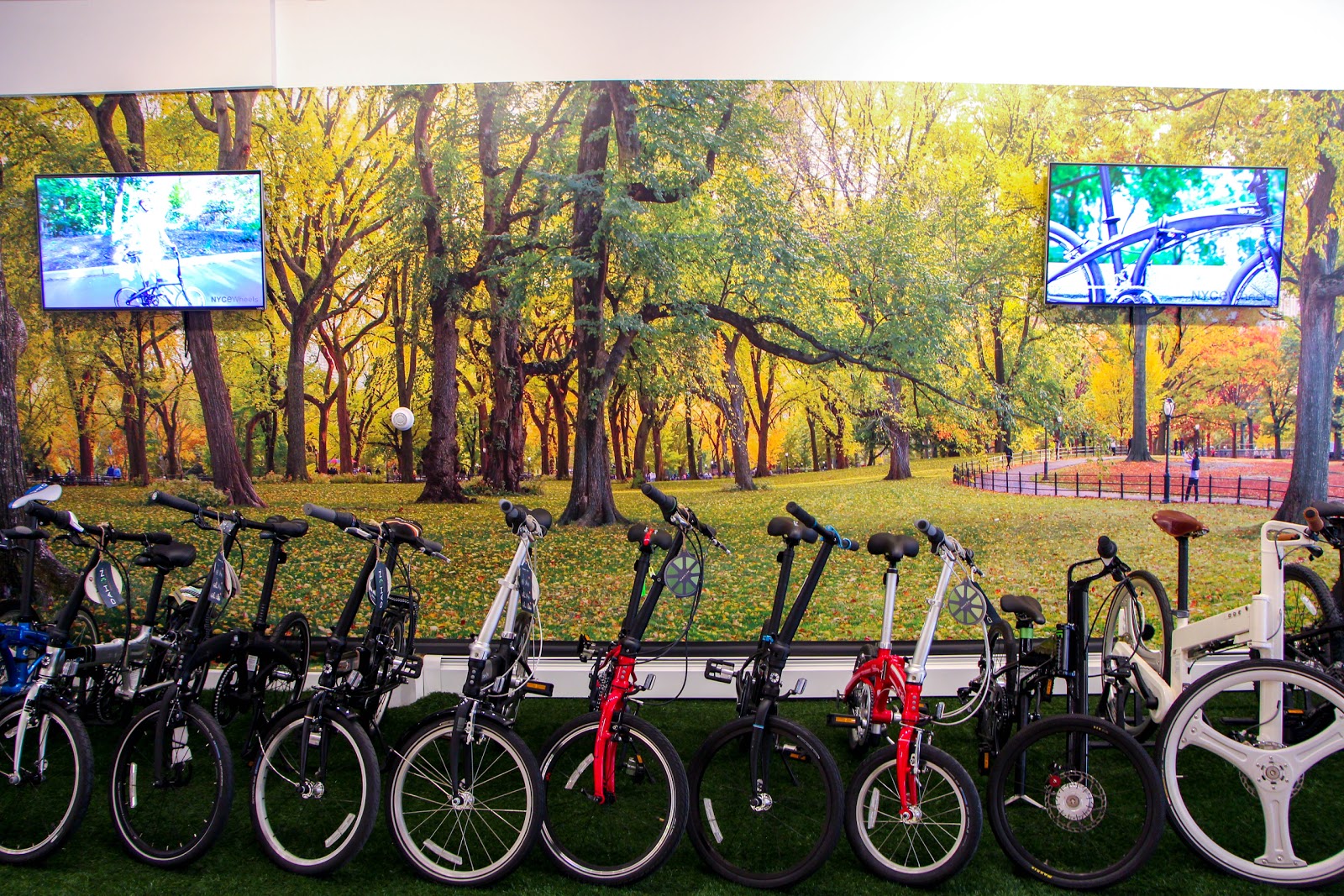 Photo of NYCeWheels in New York City, New York, United States - 7 Picture of Point of interest, Establishment, Store, Bicycle store