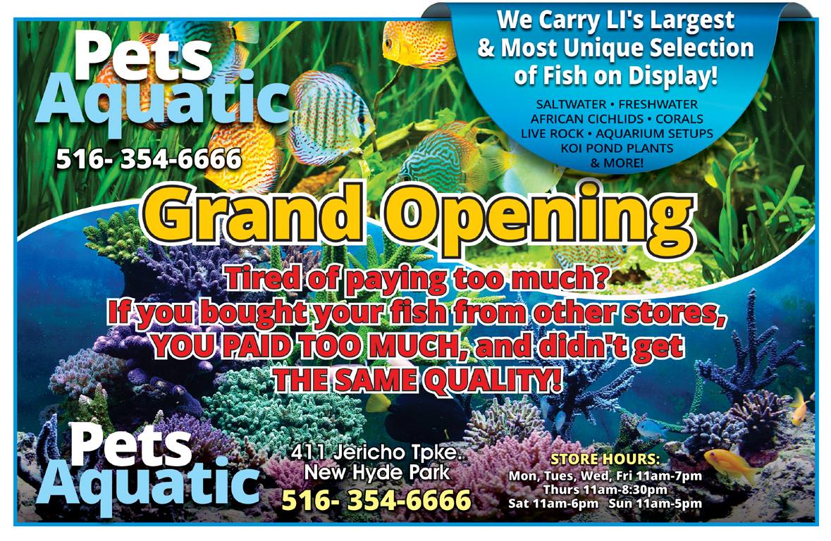 Photo of Pets Aquatic in New Hyde Park City, New York, United States - 3 Picture of Point of interest, Establishment, Store, Pet store