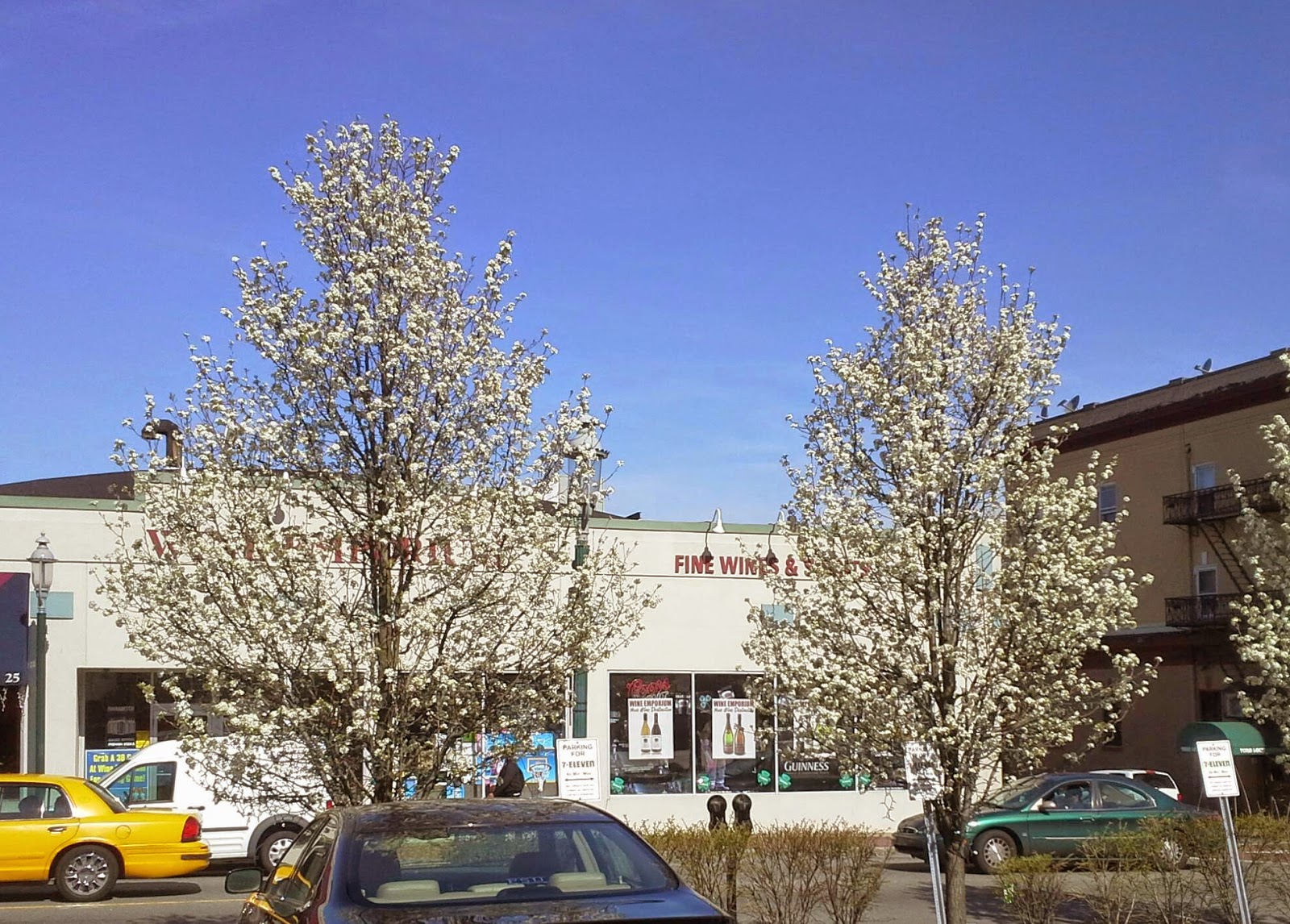 Photo of Wine Emporium in South Orange City, New Jersey, United States - 1 Picture of Point of interest, Establishment, Store, Liquor store