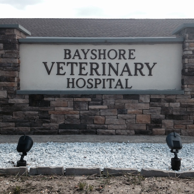 Photo of Bayshore Veterinary Hospital in Holmdel City, New Jersey, United States - 7 Picture of Point of interest, Establishment, Veterinary care