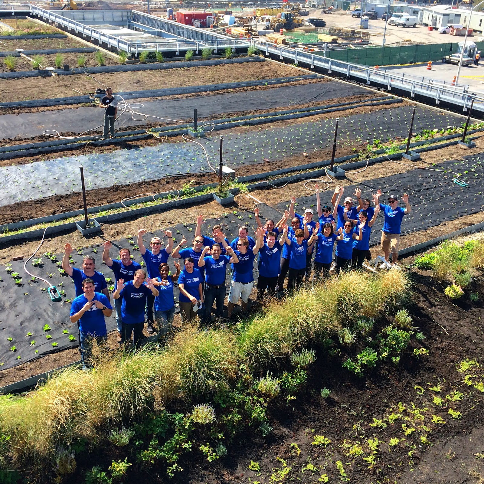 Photo of The Living Roof by living-restoration.com in Staten Island City, New York, United States - 6 Picture of Point of interest, Establishment, Park