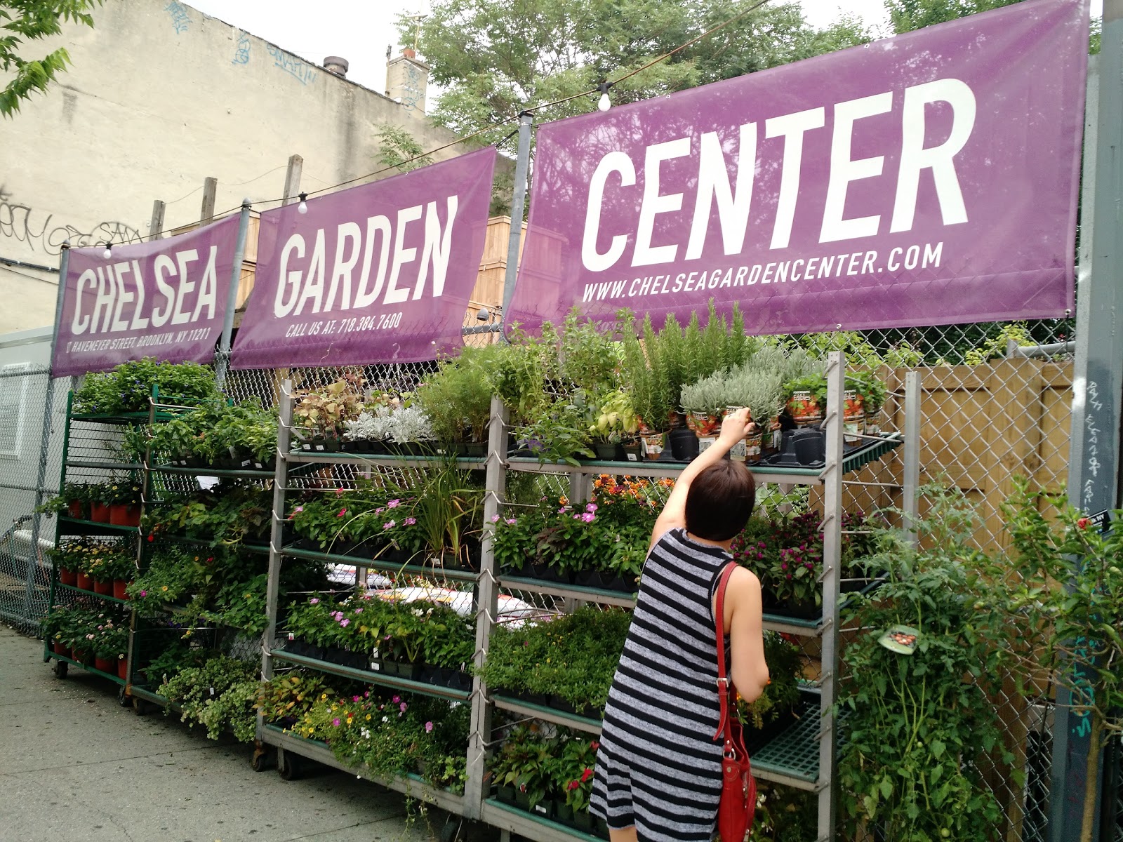 Photo of Chelsea Garden Center Williamsburg in Brooklyn City, New York, United States - 1 Picture of Food, Point of interest, Establishment, Store, Home goods store, General contractor, Park