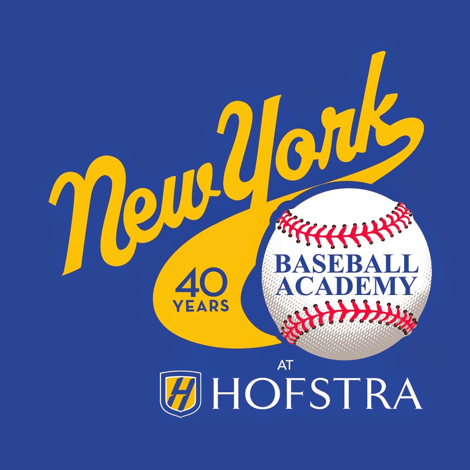 Photo of New York Baseball Academy in Hempstead City, New York, United States - 2 Picture of Point of interest, Establishment, School