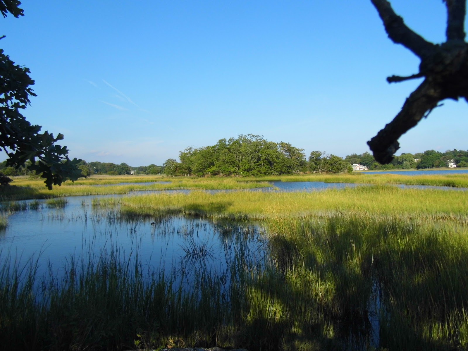 Photo of Marshlands Conservancy in Rye City, New York, United States - 3 Picture of Point of interest, Establishment, Park