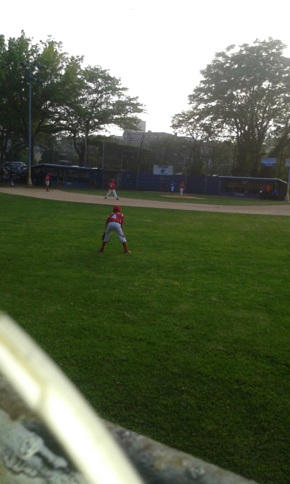Photo of Cooney Grauer Field in Bronx City, New York, United States - 1 Picture of Point of interest, Establishment, Park