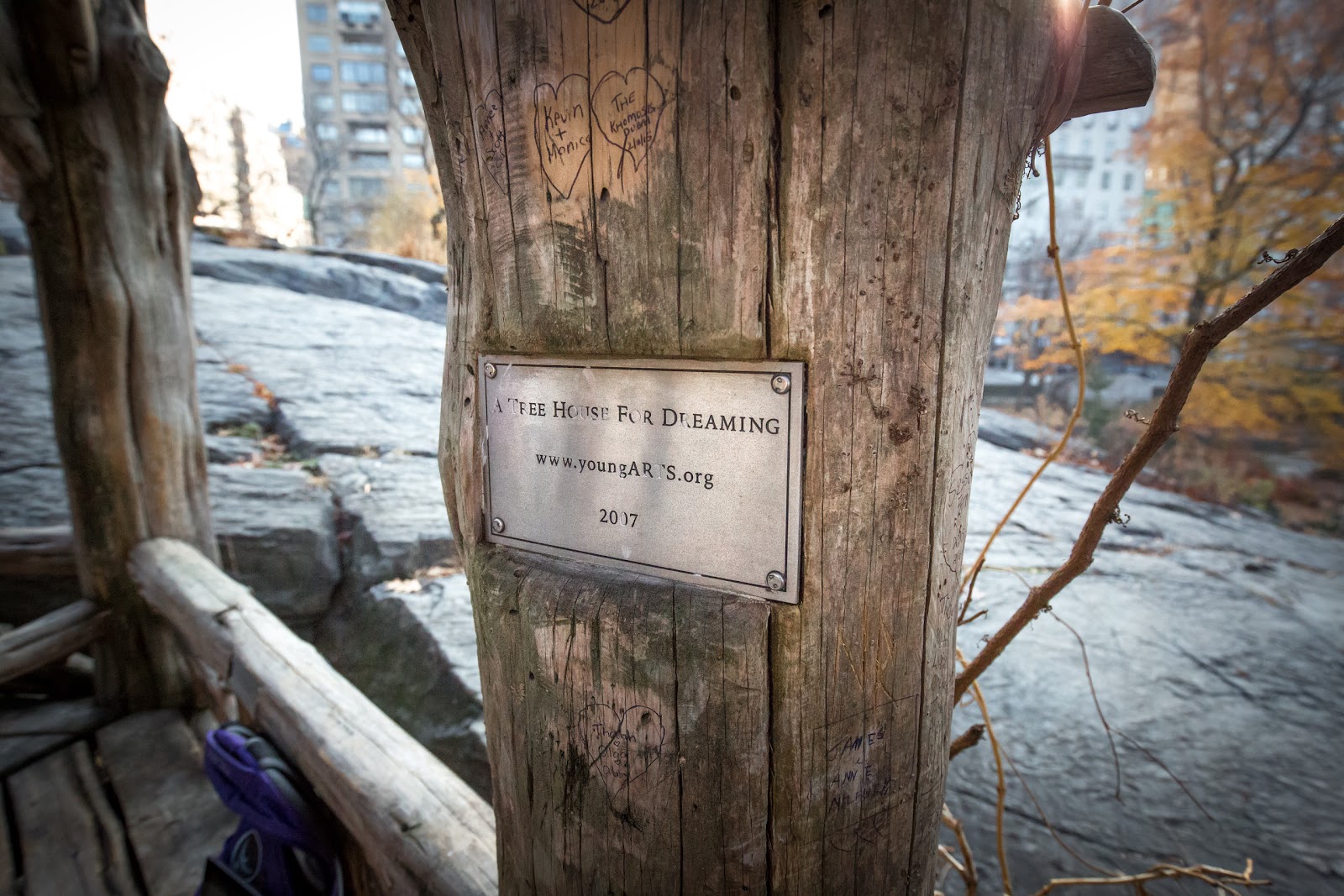 Photo of A Treehouse For Dreaming in New York City, New York, United States - 6 Picture of Point of interest, Establishment