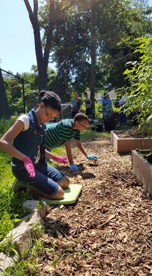 Photo of Township of Union Community Garden in Union City, New Jersey, United States - 3 Picture of Point of interest, Establishment, Park