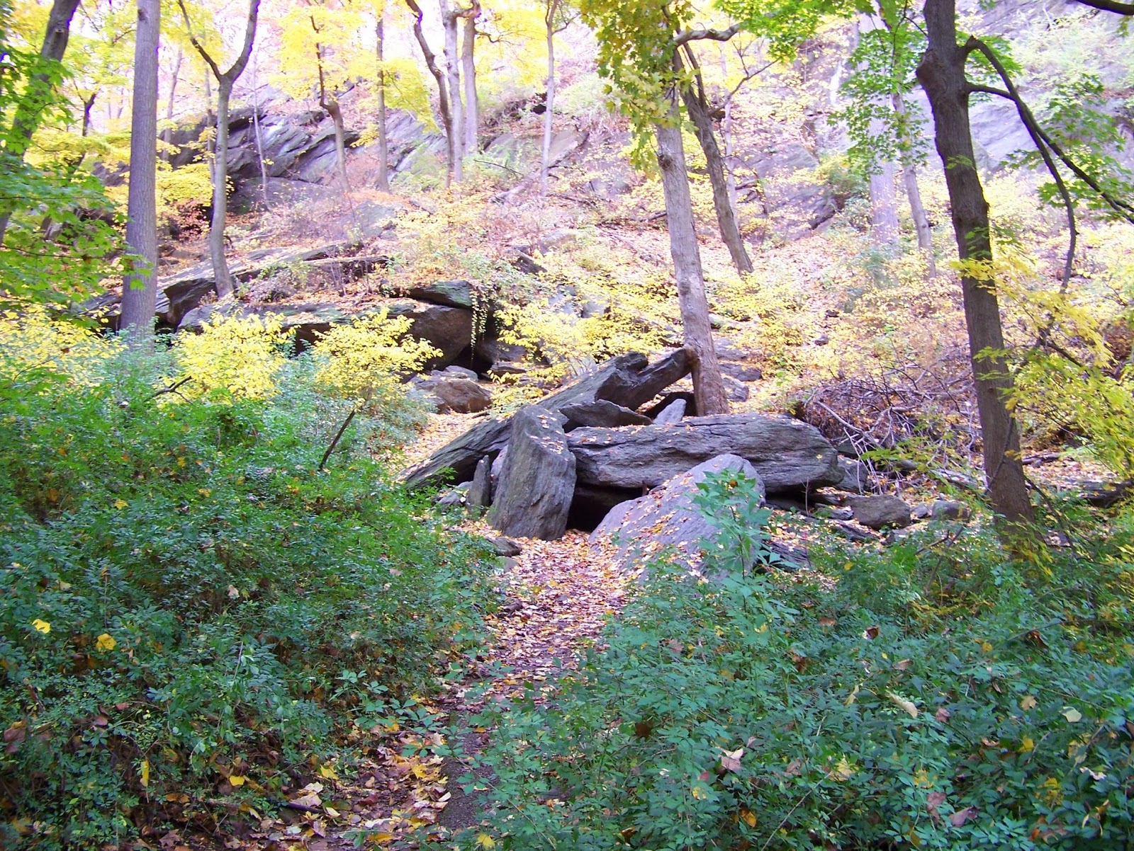 Photo of Native American Caves in New York City, New York, United States - 1 Picture of Point of interest, Establishment