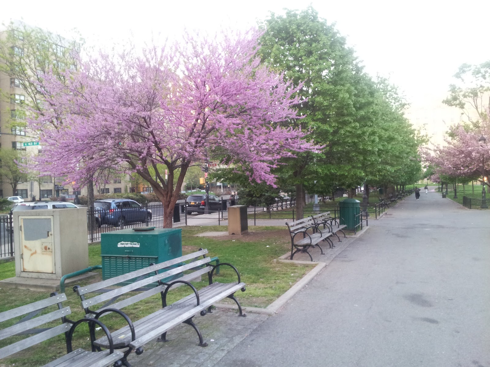 Photo of Joyce Kilmer Park in Bronx City, New York, United States - 3 Picture of Point of interest, Establishment, Park