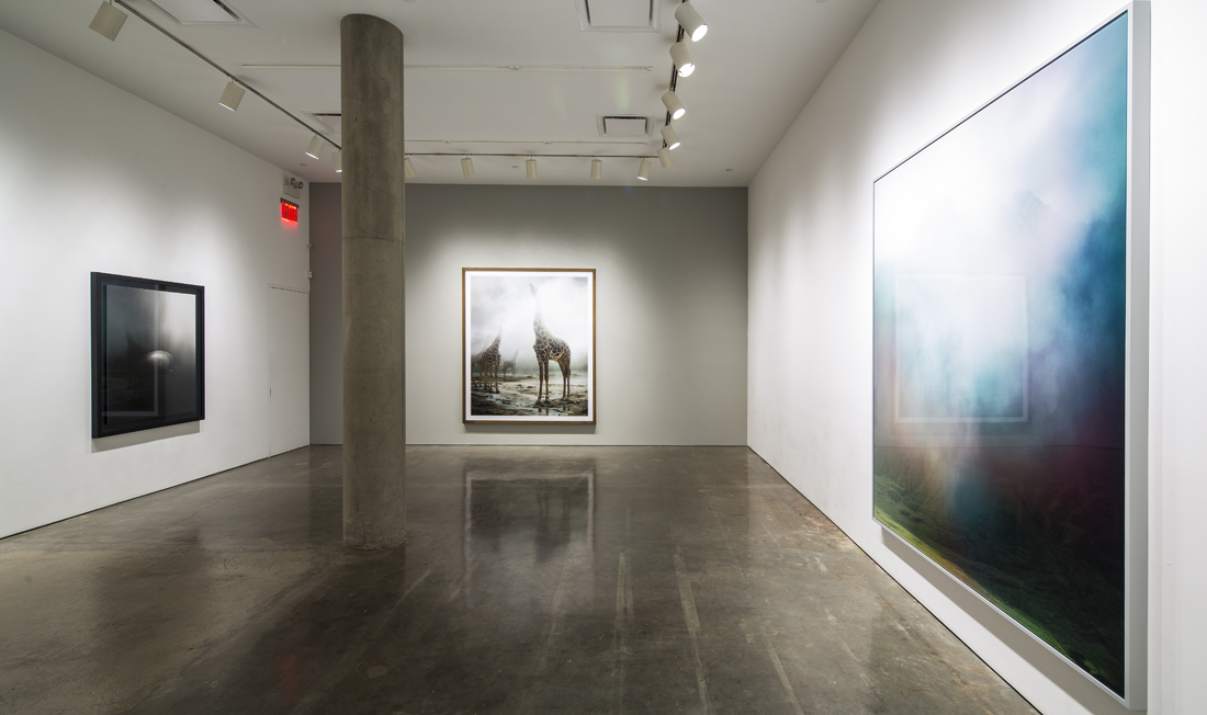 Photo of Yossi Milo Gallery in New York City, New York, United States - 8 Picture of Point of interest, Establishment, Art gallery