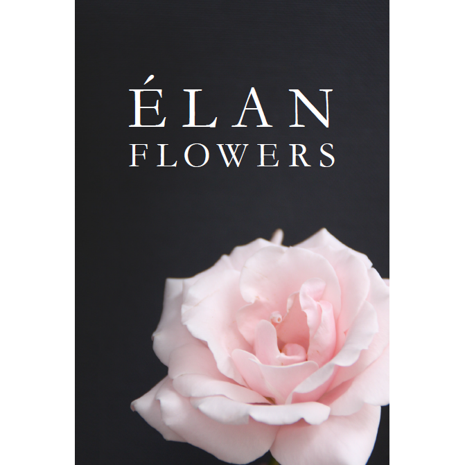 Photo of Élan Flowers in New York City, New York, United States - 9 Picture of Point of interest, Establishment, Store, Florist