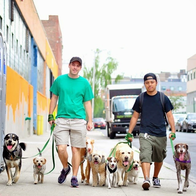 Photo of GIMME PAW Dog Walking Service Long Island City Dog Walks Dog Walker Dog Walkers in Queens City, New York, United States - 2 Picture of Point of interest, Establishment