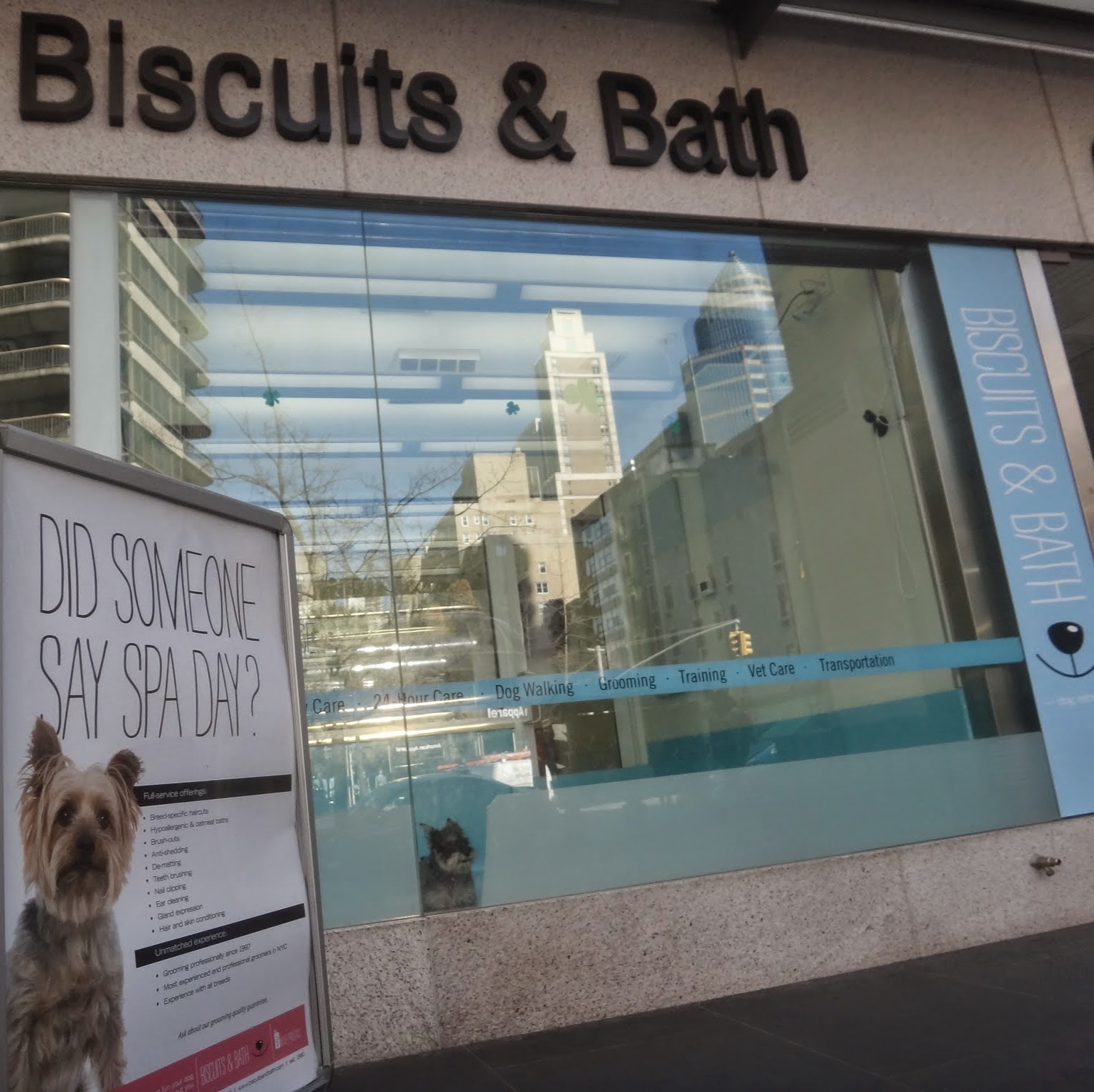 Photo of Biscuits & Bath in New York City, New York, United States - 1 Picture of Point of interest, Establishment, Veterinary care