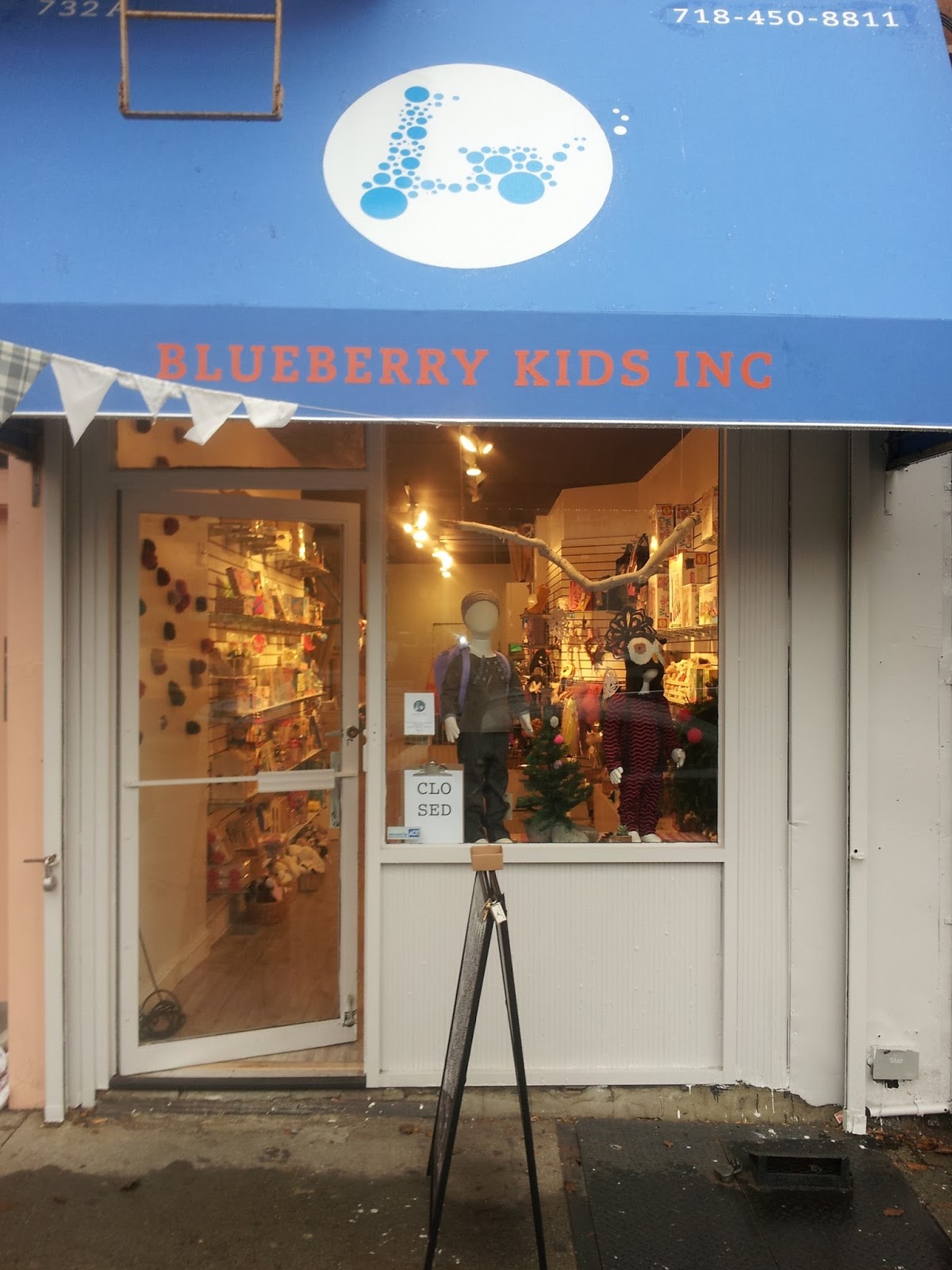 Photo of Blueberry Kids, Inc. in Kings County City, New York, United States - 1 Picture of Point of interest, Establishment, Store