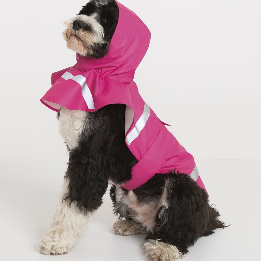 Photo of Doggie Rain Jacket in Garden City, New York, United States - 1 Picture of Point of interest, Establishment