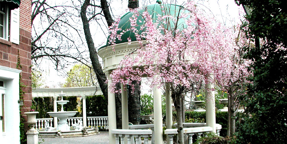 Photo of The Brownstone in Paterson City, New Jersey, United States - 5 Picture of Point of interest, Establishment