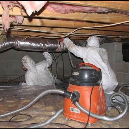 Photo of Absolutely Spotless Mold Inspection, Testing & Removal in Richmond City, New York, United States - 1 Picture of Point of interest, Establishment