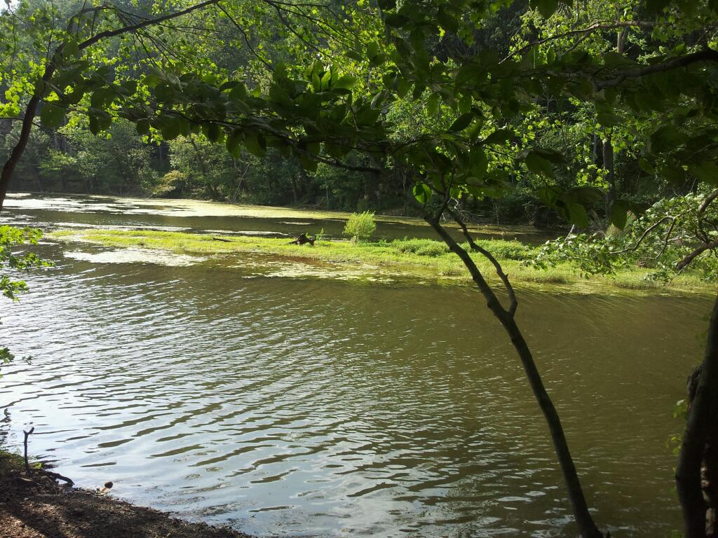 Photo of South Mountain Reservation in Short Hills City, New Jersey, United States - 2 Picture of Point of interest, Establishment, Park