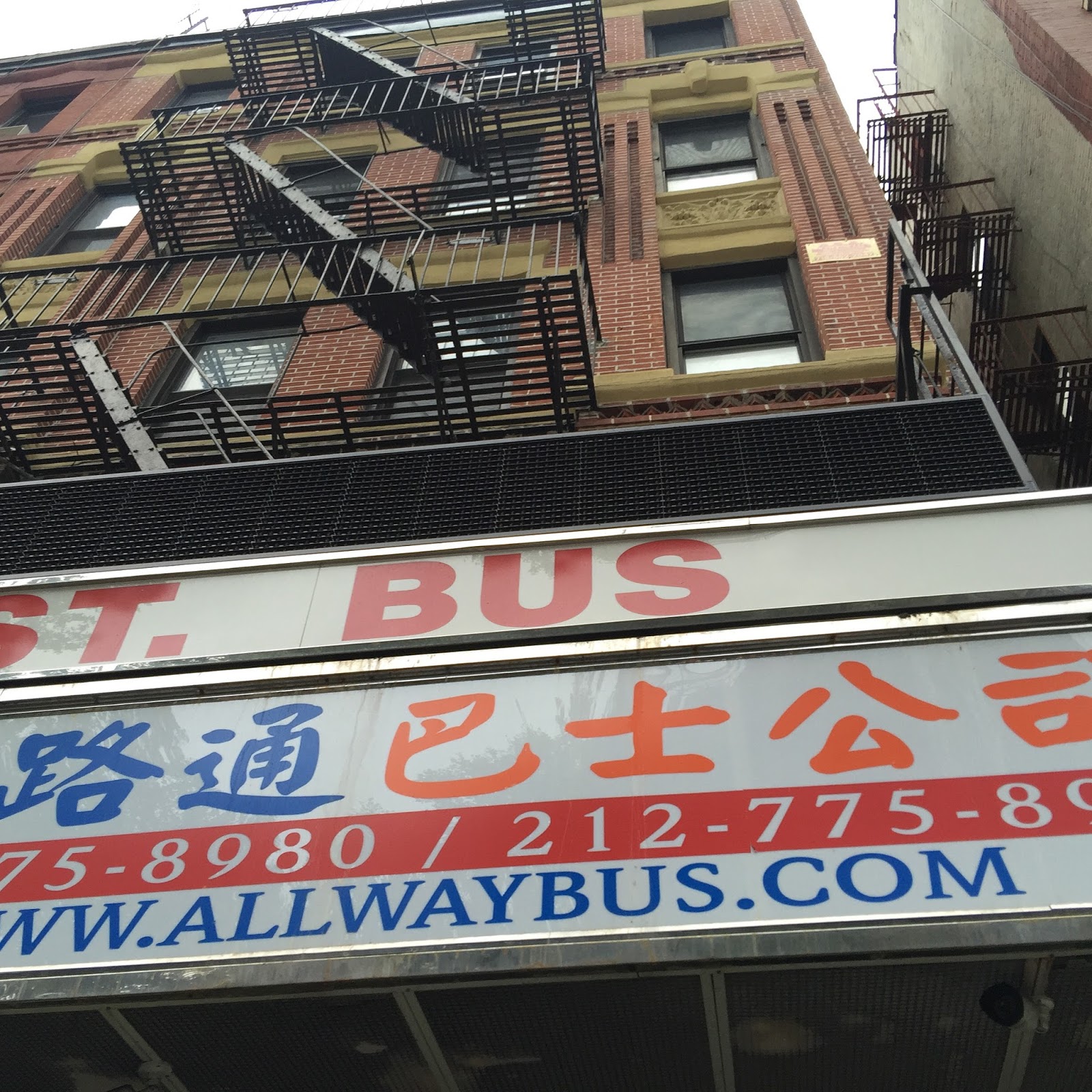 Photo of Chinatown Bus in New York City, New York, United States - 1 Picture of Point of interest, Establishment, Bus station, Transit station