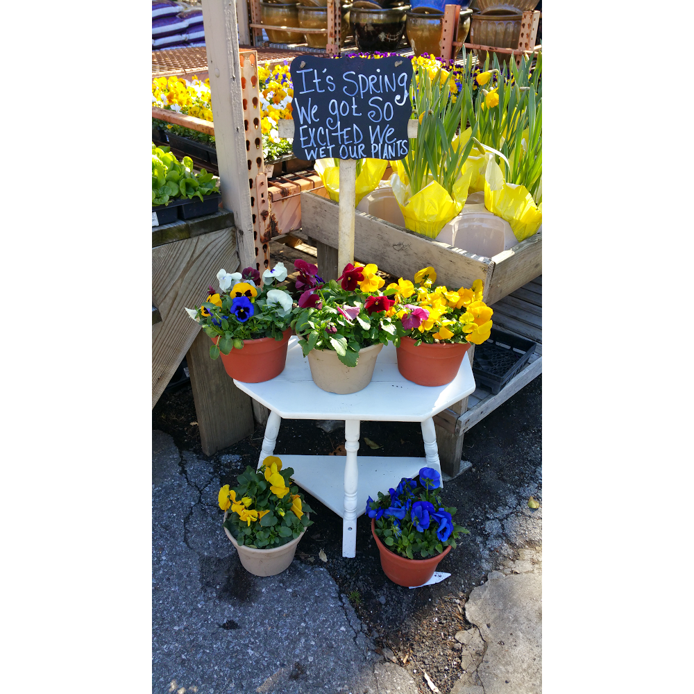 Photo of Harrison Avenue Farm in Mamaroneck City, New York, United States - 7 Picture of Food, Point of interest, Establishment, Store, Grocery or supermarket, Park