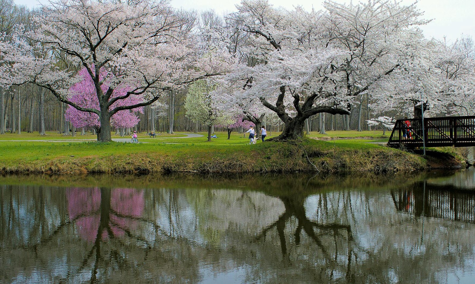 Photo of Nomahegan Park in Cranford City, New Jersey, United States - 1 Picture of Point of interest, Establishment, Park