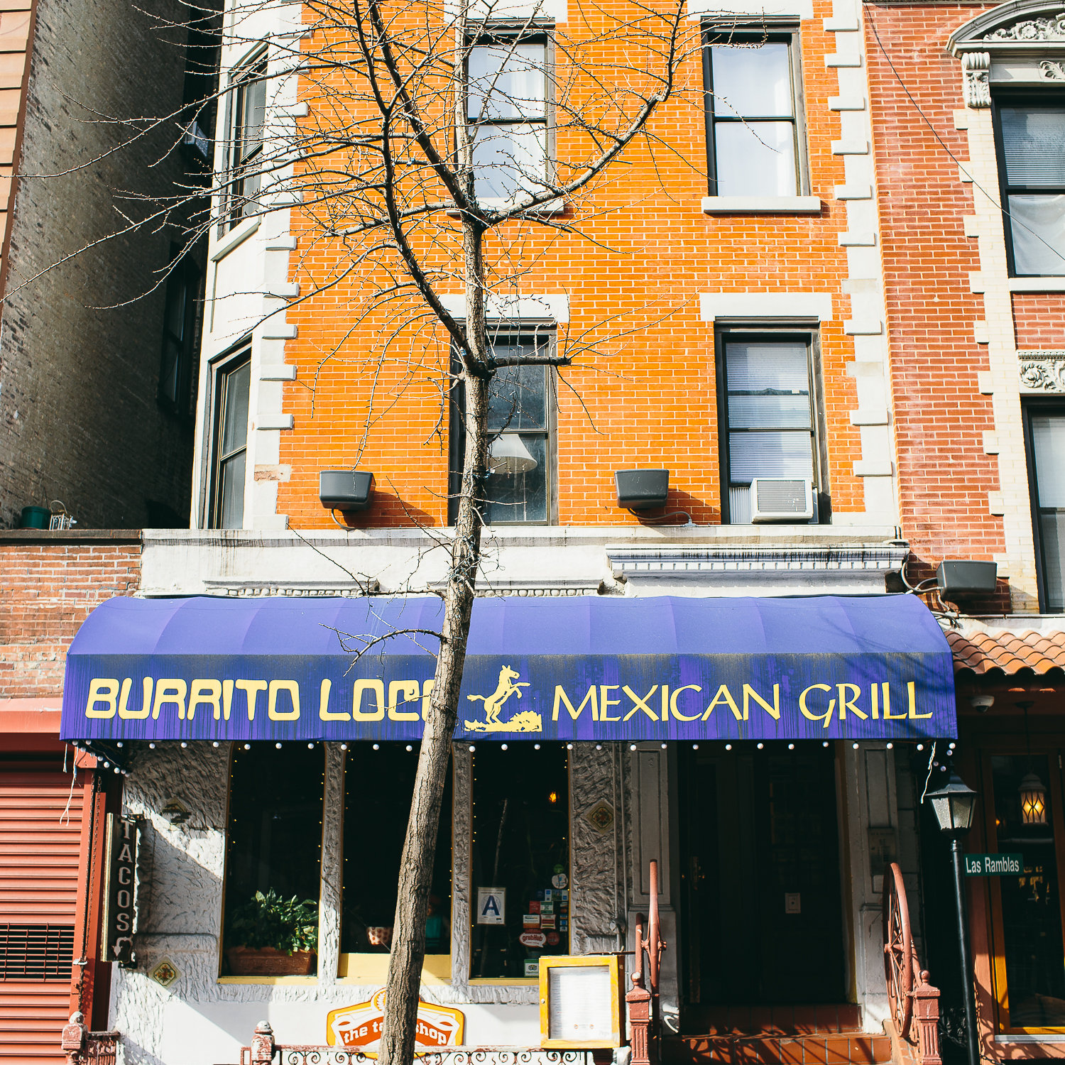 Photo of Burrito Loco in New York City, New York, United States - 10 Picture of Restaurant, Food, Point of interest, Establishment, Bar