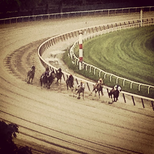 Photo of Belmont Park Race Track in Elmont City, New York, United States - 2 Picture of Point of interest, Establishment