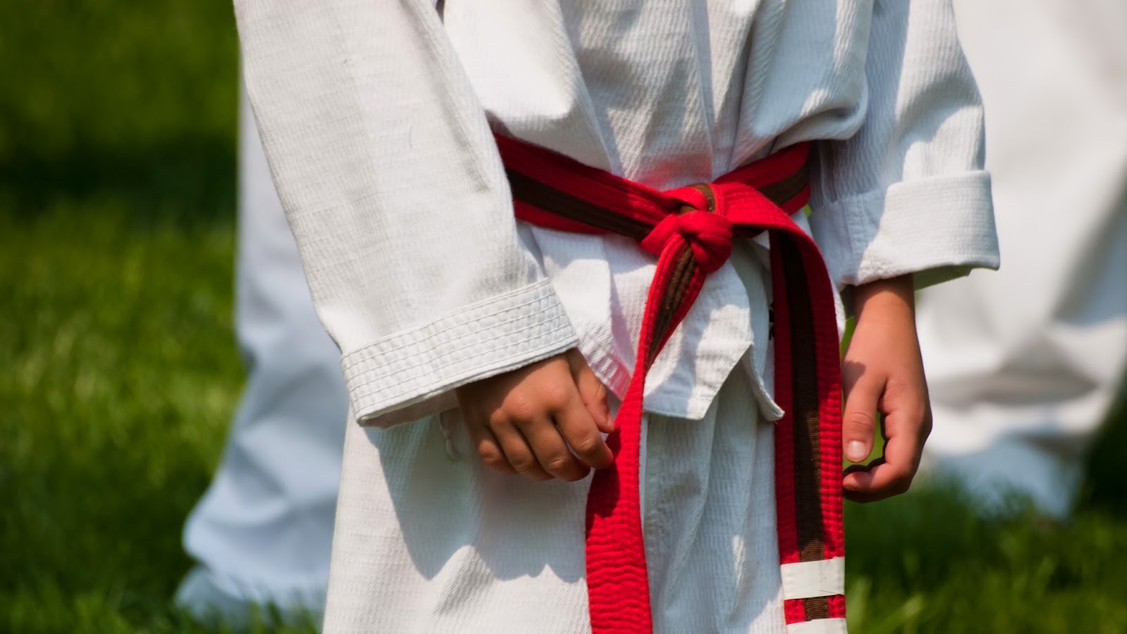 Photo of Team Raposa Taekwondo in Newark City, New Jersey, United States - 10 Picture of Point of interest, Establishment, Health, Gym