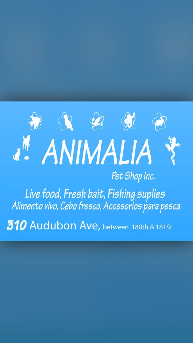 Photo of Animalia Pet Shop Inc in New York City, New York, United States - 2 Picture of Point of interest, Establishment, Store