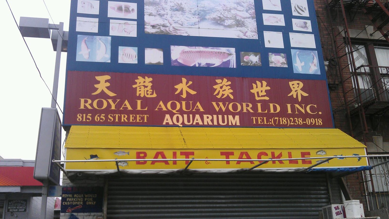 Photo of Royal Aqua World in Kings County City, New York, United States - 1 Picture of Point of interest, Establishment, Aquarium