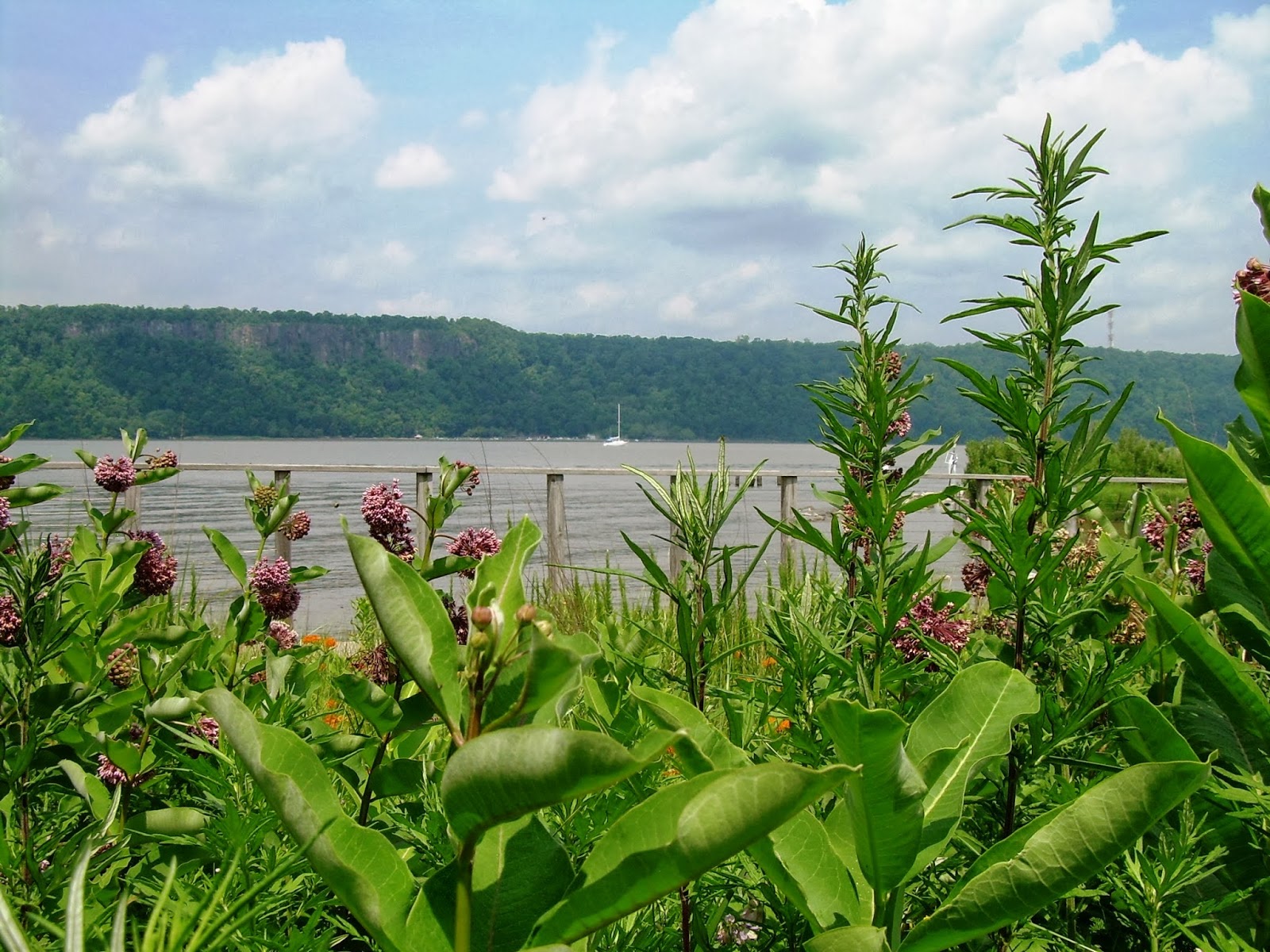 Photo of Sarah Lawrence College Center for the Urban River at Beczak in Yonkers City, New York, United States - 3 Picture of Point of interest, Establishment