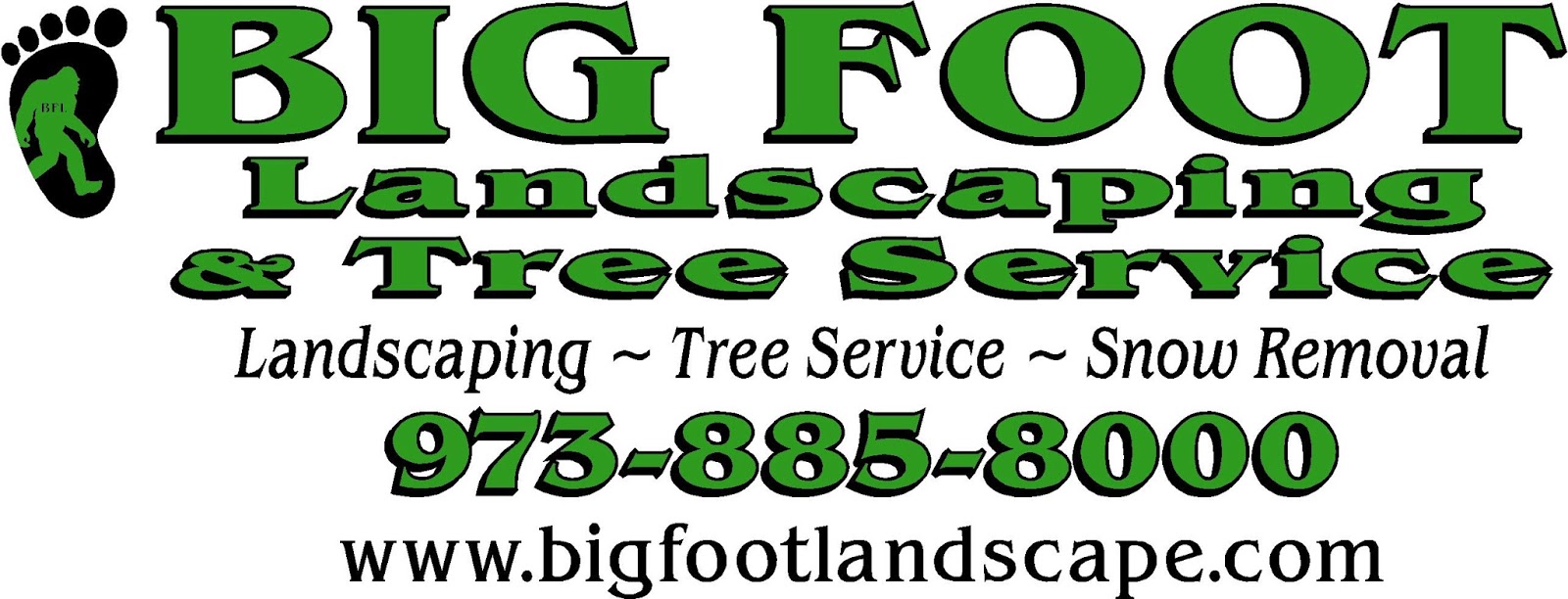 Photo of Big Foot Tree Service LLC in Wayne City, New Jersey, United States - 3 Picture of Point of interest, Establishment