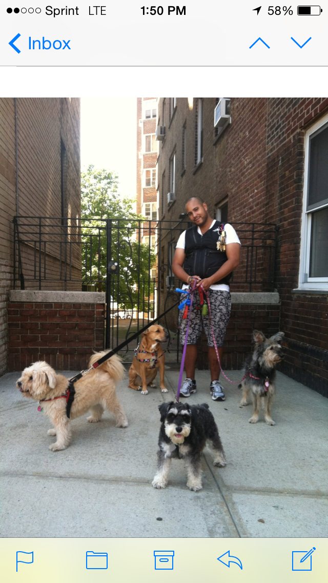 Photo of Hot Paws Pet Care in New York City, New York, United States - 3 Picture of Point of interest, Establishment