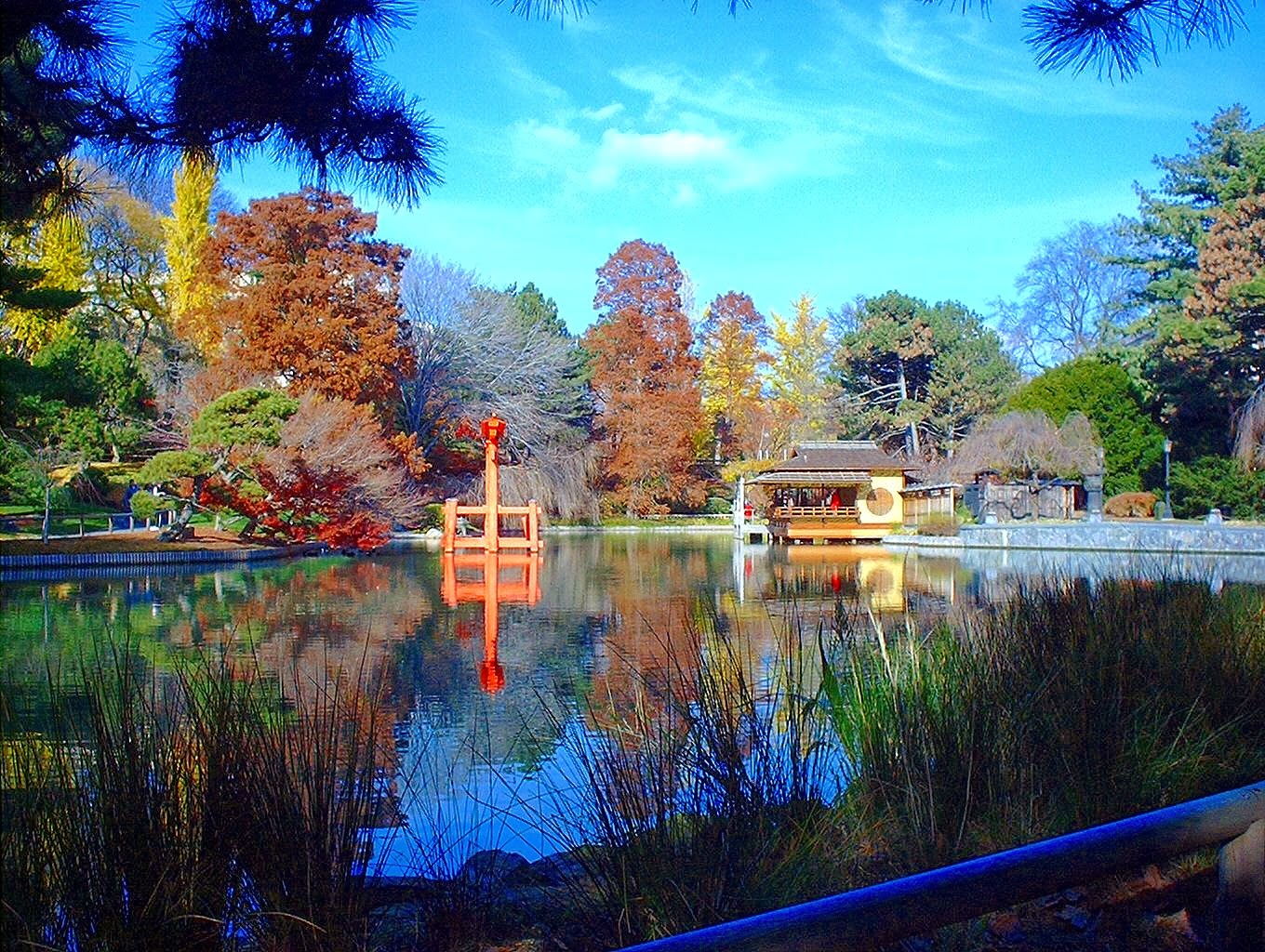 Photo of Brooklyn Botanic Garden in Brooklyn City, New York, United States - 10 Picture of Food, Point of interest, Establishment, Store, Park