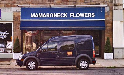 Photo of Mamaroneck Flowers in Mamaroneck City, New York, United States - 5 Picture of Point of interest, Establishment, Store, Florist