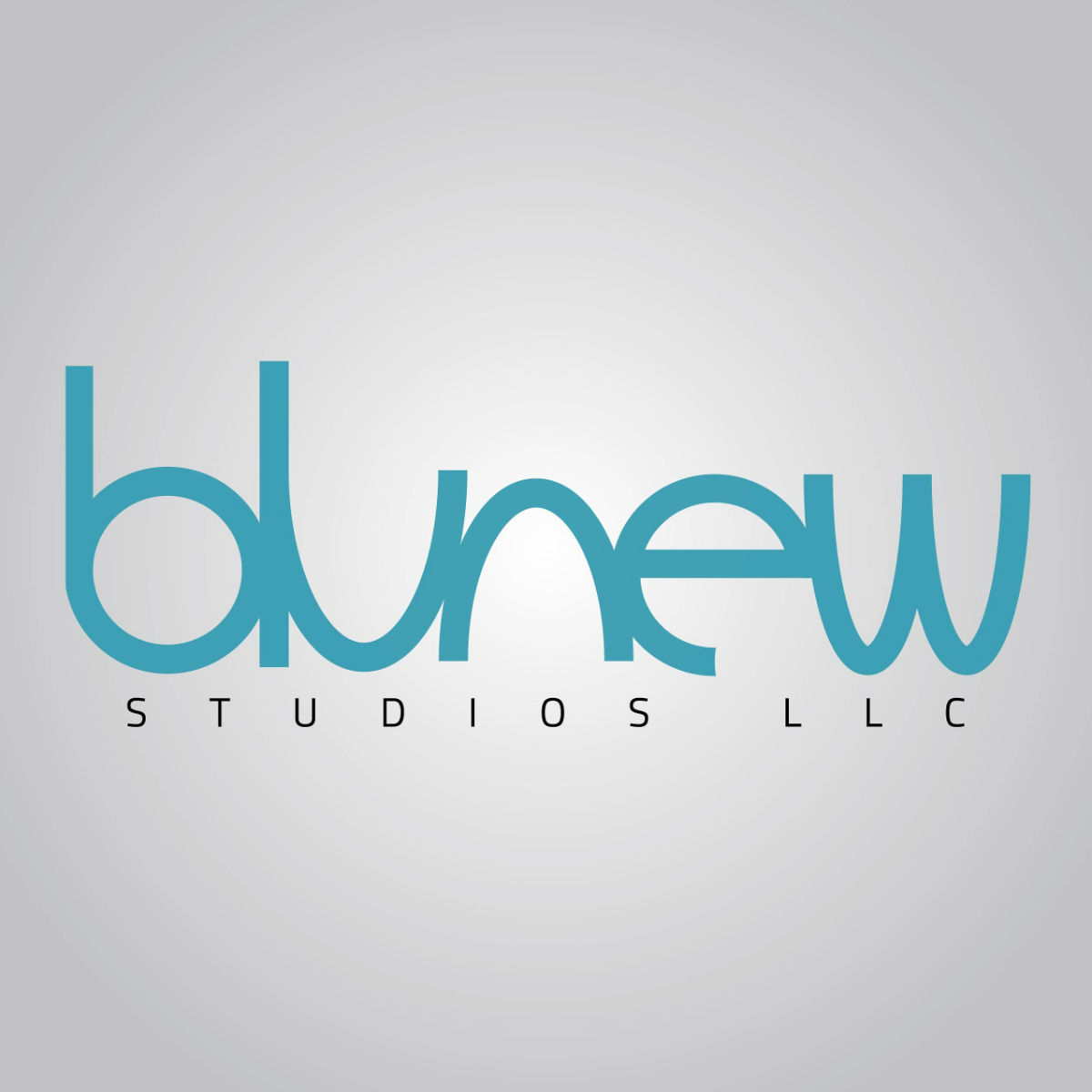 Photo of Blunew Studios LLC in Clifton City, New Jersey, United States - 1 Picture of Point of interest, Establishment