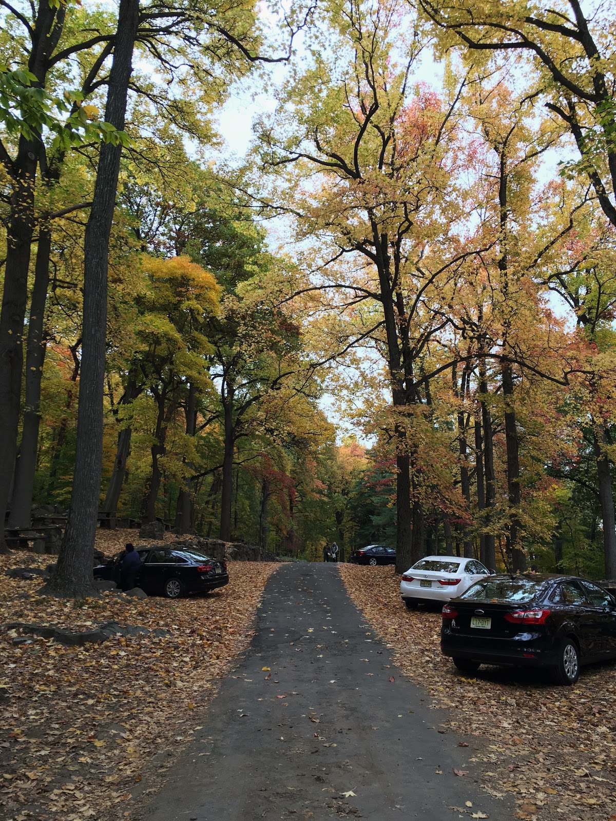 Photo of Palisades Interstate Park in Alpine City, New Jersey, United States - 5 Picture of Point of interest, Establishment, Park