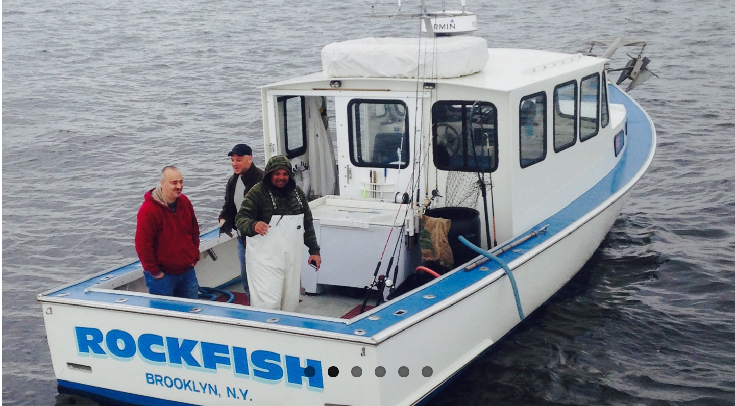 Photo of RockFish Charters in Brooklyn City, New York, United States - 2 Picture of Point of interest, Establishment