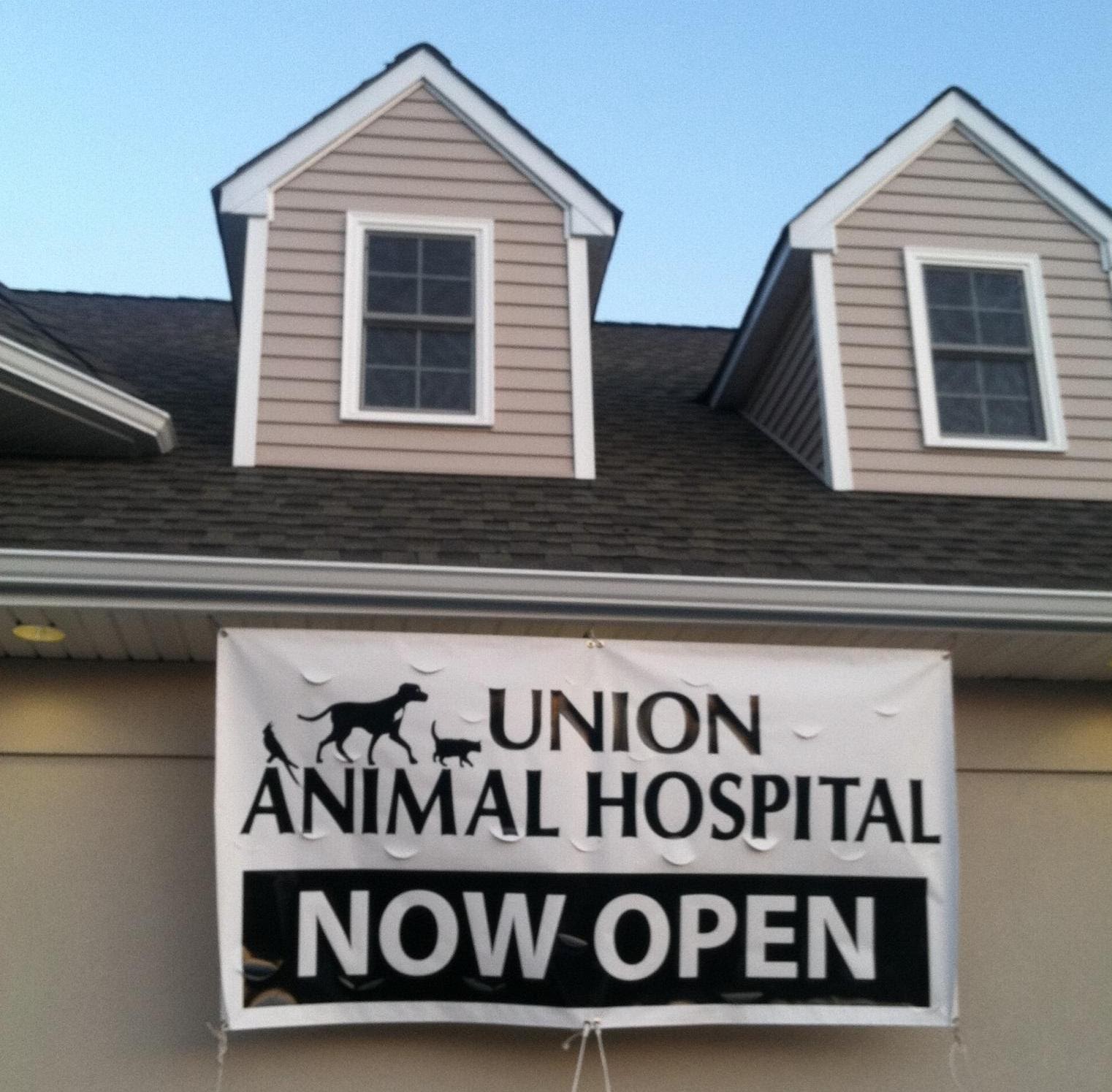 Photo of Union Animal Hospital in Union City, New Jersey, United States - 3 Picture of Point of interest, Establishment, Veterinary care