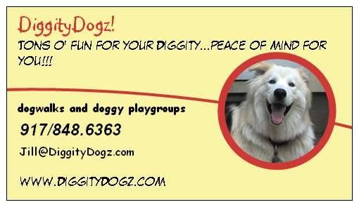 Photo of DiggityDogz! Dog Walks and Doggy Playgroups in New York City, New York, United States - 1 Picture of Point of interest, Establishment