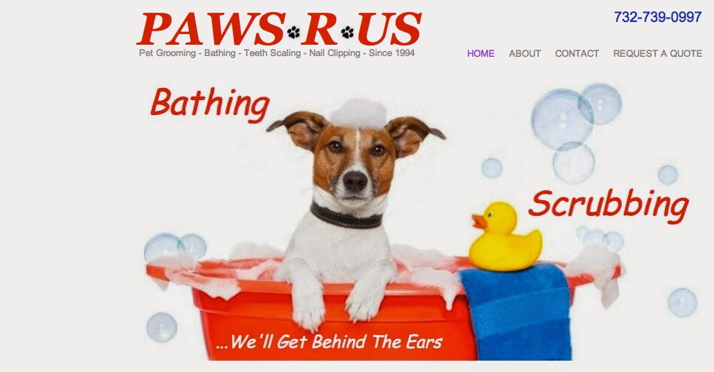 Photo of Paws R US Pet Grooming in Keyport City, New Jersey, United States - 2 Picture of Point of interest, Establishment