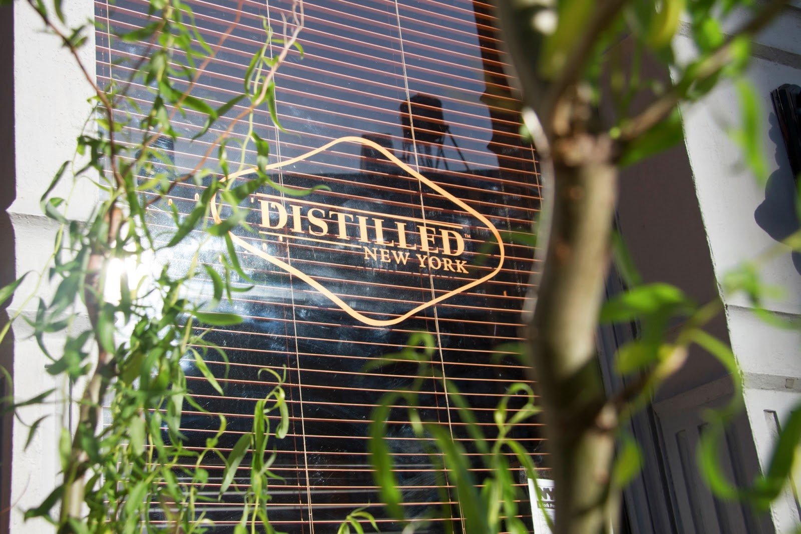 Photo of Distilled in New York City, New York, United States - 8 Picture of Restaurant, Food, Point of interest, Establishment, Bar